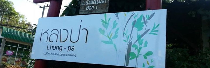 หลงป่า