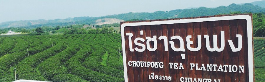 Choui-Fong-Tea-19