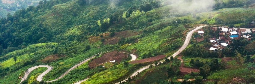 Colorful of Spring Mist, trees are wet, damp fog of forest in phuthapboek thailand