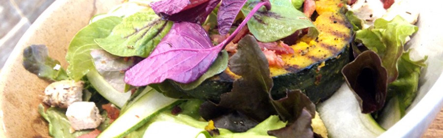 vegetarian1
