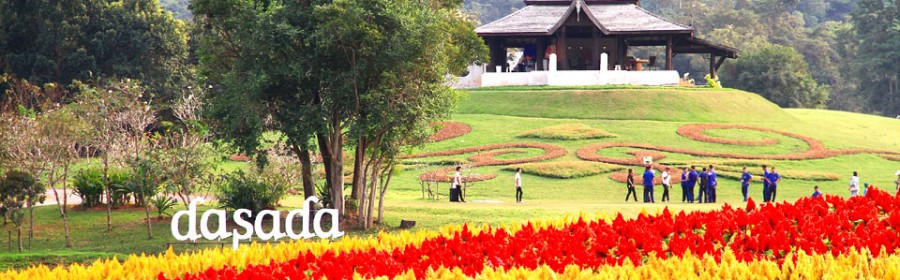 dasada gallery
