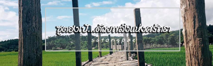sutongpae-602