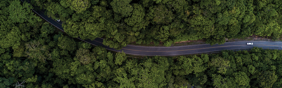 Khao Yai National Park (1)