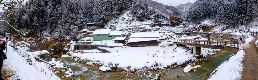 Jigokudani Yaen-koen (23)