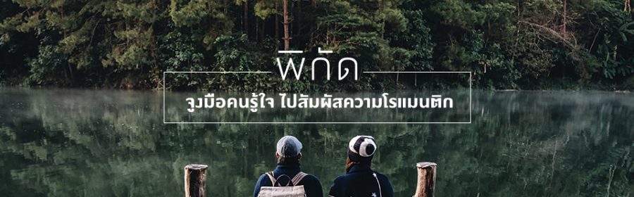 cover12