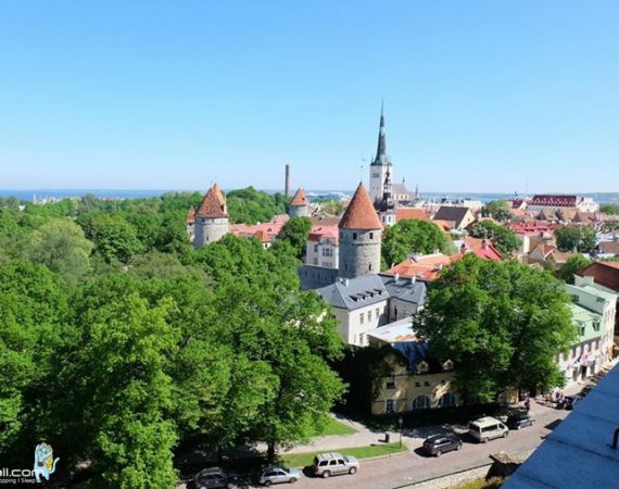 ดินแดนค้าสุราาาาาา – Tallinn Estonia