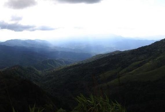 ภาพสวยๆ ระหว่างเส้นทางสู่ภูสอยดาว