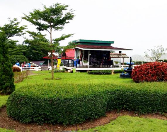 หาความสุขในวันฝนพรำ "มอนทาน่าฟาร์ม" วังน้ำเขียว