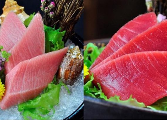 "Sushi Shin"ร้านซูชิอร่อยล้ำระดับพรีเมี่ยม ไม่ลองไม่ได้แล้ว