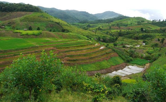 10 สถานที่รับลมหนาว น่าไปเที่ยวในเมืองไทย