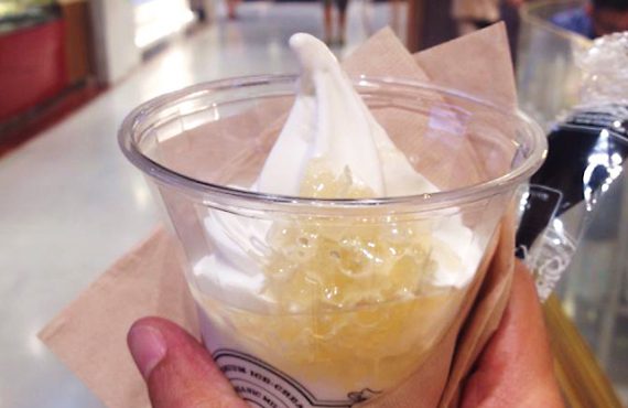 “Softree” ร้านไอติมเทรนด์ใหม่ มาแรงแซงทุกองศาเดือด