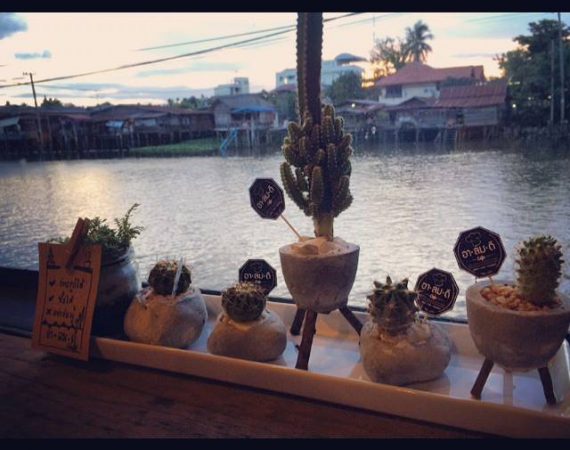 ใช้ชีวิตช้าๆ อย่างเรียบง่ายที่ อาลมดี คาเฟ่