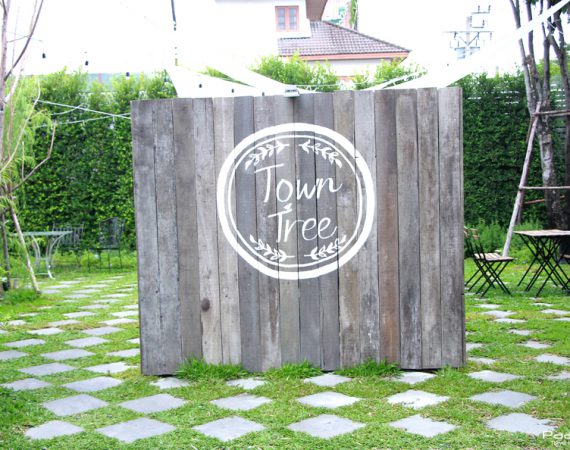 รีวิว: พาไปกินข้าวร้าน Town Tree มีดีที่บรรยากาศ และรสชาติอาหารที่ลงตัว