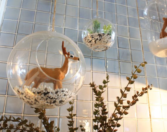 White Day Patisserie ร้านขนมสไตล์ญี่ปุ่นบรรยากาศอบอุ่นและน่ารัก