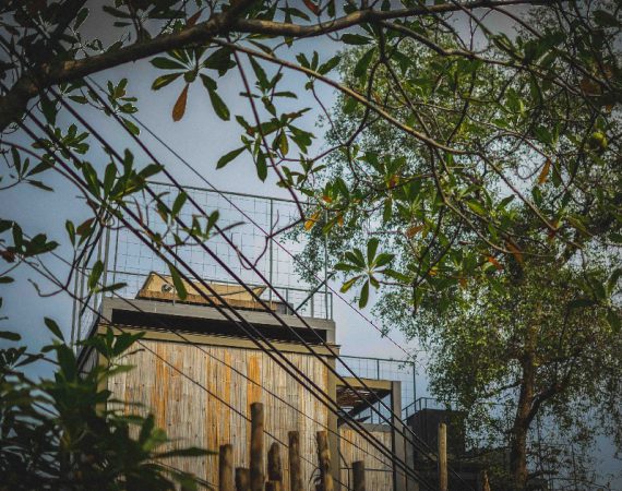 บางกระเจ้า 8 บาท จากกลางกรุง ไปปั่นจักรยานกลางป่าและชายฝั่งทะเลได้