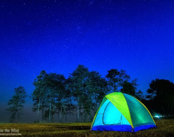 "เที่ยวเพชรบูรณ์" ฟินไปกับวิวทะเลหมอกสูงเทียมฟ้า