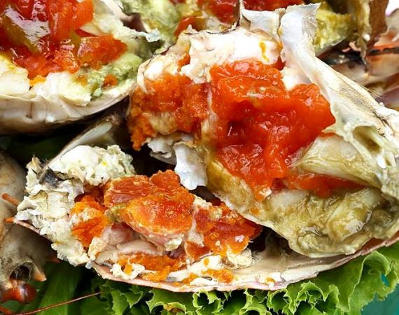 รวมร้าน "ปูไข่" อร่อยลืมอิ่ม ที่คุณต้องลอง!