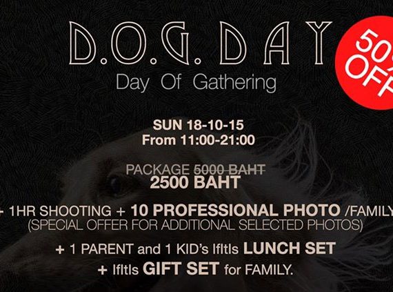 D.O.G DAY  งานดีๆ สำหรับคนรักน้องหมา