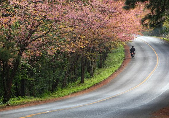 3 ที่เที่ยว “เชียงใหม่“ หนาวนี้ไม่ควรพลาด!!