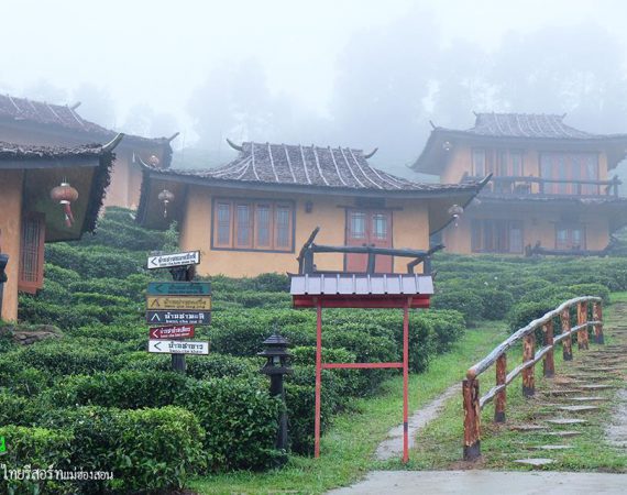 เตรียมตัวสัมผัสลมหนาว นอนเล่นสบายๆท่ามกลางสายหมอก