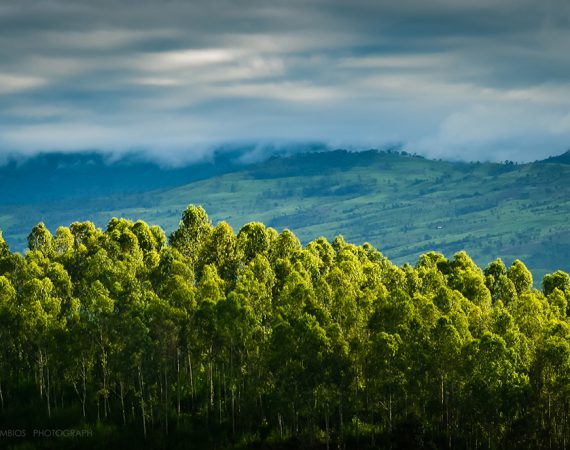 เปิดบัญชี 10 รีสอร์ทภูทับเบิกต้องถูกรื้อถอน
