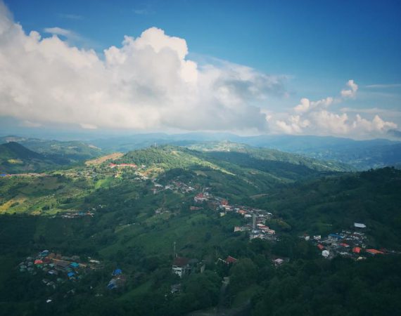 แม่สลอง จะไม่ไปอีก (ปีนี้นะ) ปีหน้าว่ากันใหม่