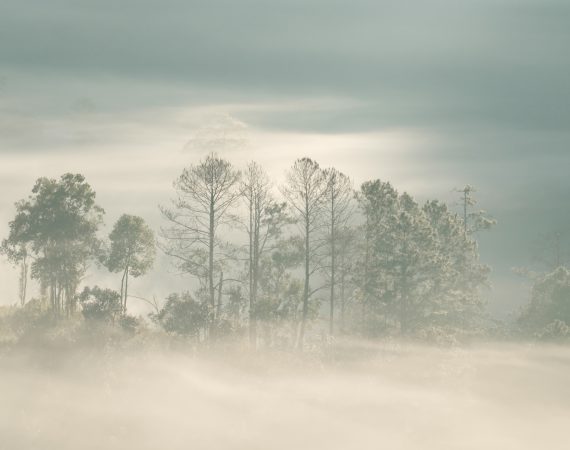 ใครว่าหน้าฝนไม่น่าเที่ยว... ลองออกไปตามหา "หมอก" ในหน้าฝนสิ