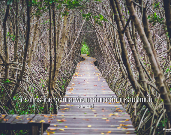 ไปเที่ยว "ราชบุรี - เพชรบุรี" กันดีกว่า