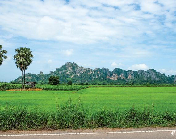 พักกาย พักใจ ใช้ชีวิตง่ายๆ กับพื้นที่สีเขียวที่ "เนินมะปราง"