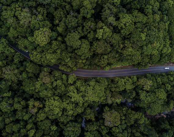 เขาใหญ่...ไม่เหงาเลย เราอยากให้เธอได้สูดอากาศบริสุทธิ์