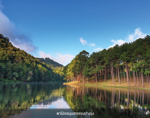 สัมผัสสายหมอก แสงแดด สายน้ำ ที่ "ปางอุ๋ง" สวิสเซอร์แลนด์เมืองไทย