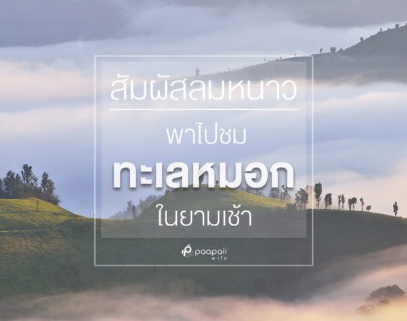 สัมผัสอากาศหนาว ! ชมทะเลหมอกในยามเช้า