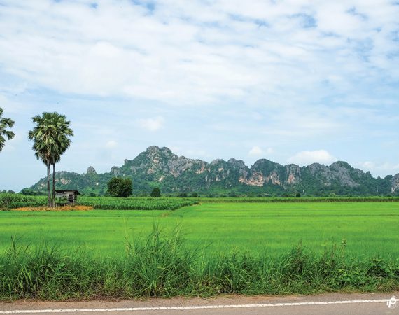 เนินมะปราง มีอะไร ทำไมใครๆ ก็อยากไป ...