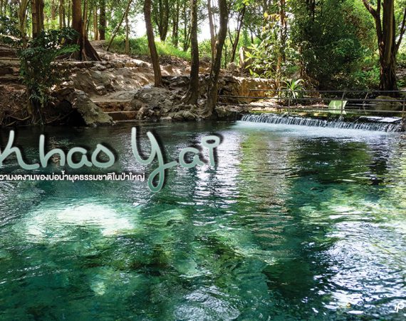 บ่อน้ำผุดธรรมชาติ ความงดงามในป่าใหญ่