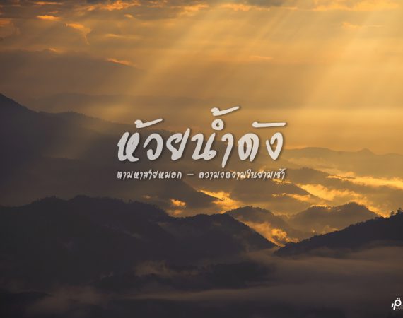 พาไปพบสวรรค์แห่งสายหมอกกับความงดงามในยามเช้าที่ "ห้วยน้ำดัง"