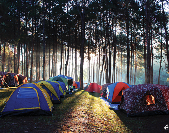 ลมหนาวมาทั้งที!  พาไปนอนกางเต็นท์รับลมเย็นชิลล์ๆ