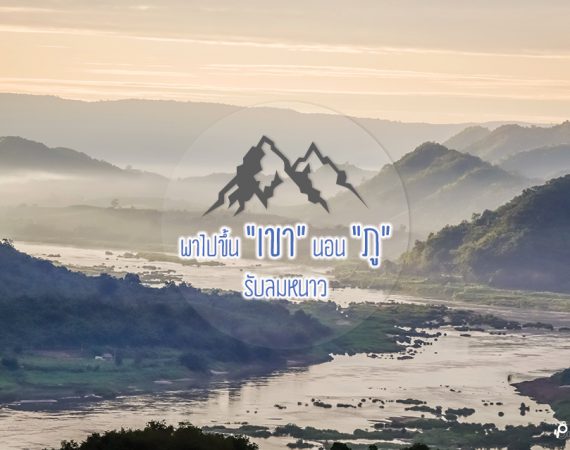 หนาวนี้ไม่รู้ไปไหน ไปขึ้นเขา นอนภู รับลมหนาวกันดีกว่า