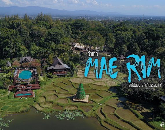 ถือเงิน 2000 บาท  พาไปนอน "แม่ริม" นอนชิลล์ๆ วิวธรรมชาติ