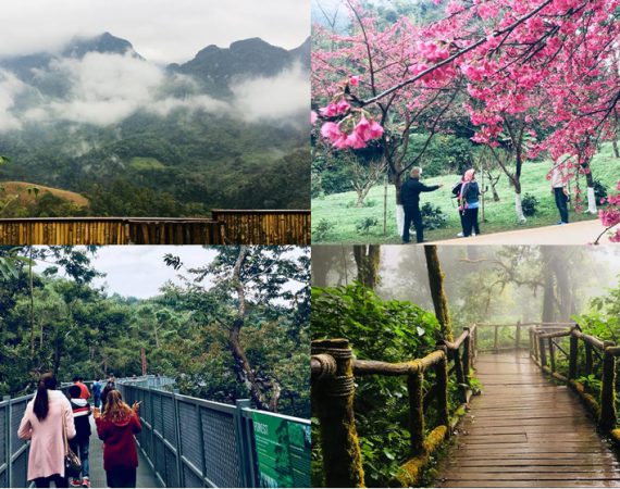 ทริปเชียงใหม่ 4 วัน 3 คืน ฉบับเช่ามอไซขี่เที่ยวไปคนเดียว