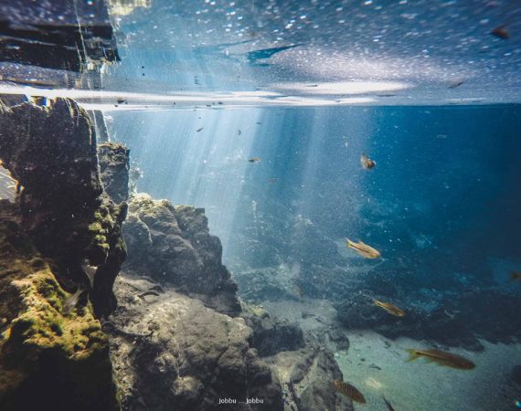 พาไปเที่ยวดินแดนพิศวง “ท่าปอมคลองสองน้ำ” มหัศจรรย์แห่งสายน้ำและผืนป่า ที่อยากให้ไปสัมผัส!