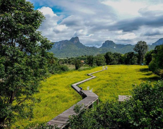 พาไปตามหาดอกไม้บาน ที่ "ทุ่งคอสมอส" ที่ร้านกระเพรา&coffee สวยปังเว่อร์!