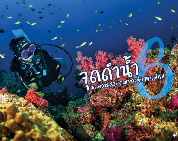 แหล่งดำน้ำ 6 จุด ที่ต้องมาลองสักครั้งในประเทศไทย