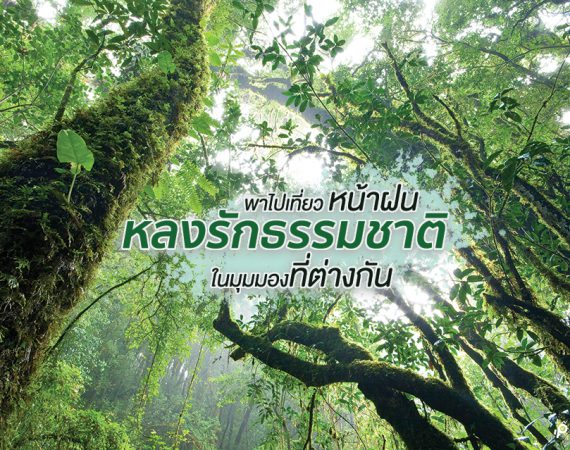 เที่ยวหน้าฝน หลงรักธรรมชาติในมุมมองที่ต่างกัน