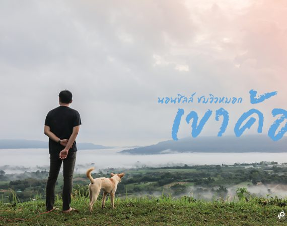 นอนชิลล์ วิวหมอก สัมผัสอากาศเย็นที่ เขาค้อ