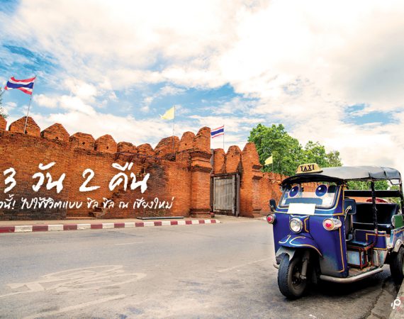 หนาวนี้! เที่ยวเชียงใหม่ชิล ชิล 3 วัน 2 คืน