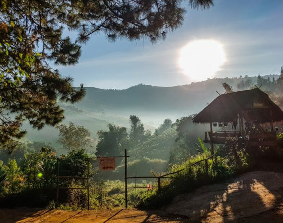 รีวิวฉบับติ่ง : พาไปเที่ยว “ตลาดนัดเด็กดอย” บ้านร่องกล้า ประตูสู่ภูลมโลที่ไม่ควรเป็นแค่ทางผ่าน