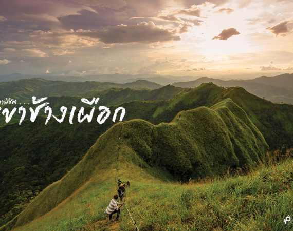 พิสูจน์ความกล้า ท้าความเสียวที่ "เขาช้างเผือก"