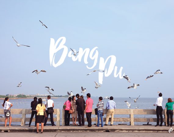 หนึ่งวันสบายๆ ชมธรรมชาติ ดูนกนางนวล "สถานตากอากาศบางปู"