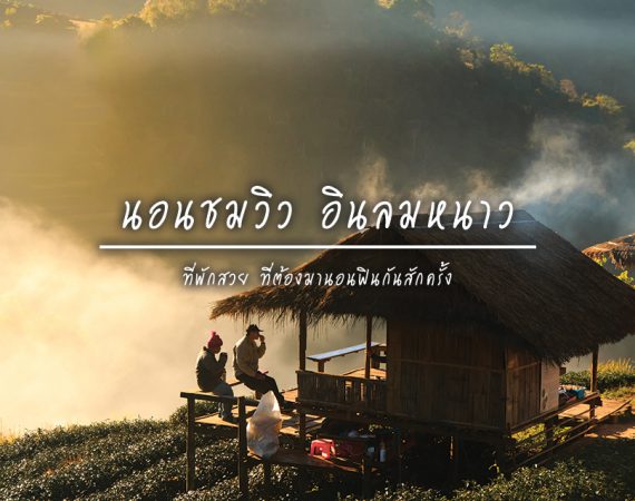 จูงมือคนข้างๆ พาไปนอนชมวิว ฟินลมหนาว กันเพลินๆ