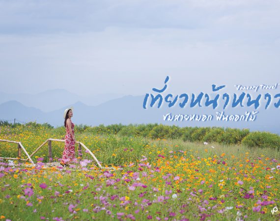 พาไปเที่ยวชมสายหมอก ฟินดอกไม้ ช่วงเดือนมกราคม